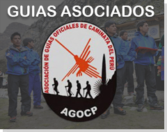 Guias Asociados
